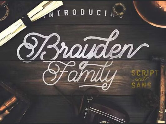 Brayden Script Family